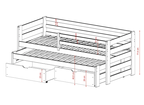 SENSO 80x180 Cotton Bunk Bed with Pull-Out - Lano Furniture